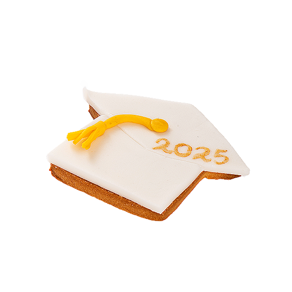Graduation Cookies 4