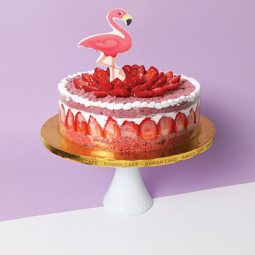 Variegate Strawberry Sponge