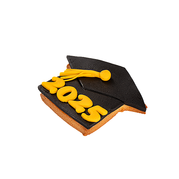 Graduation Cookies 8