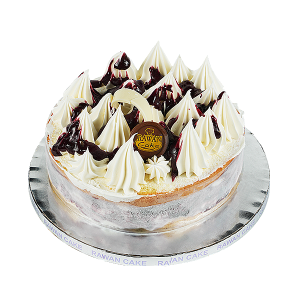 Blueberry Cheesecake Ice Cream Cake