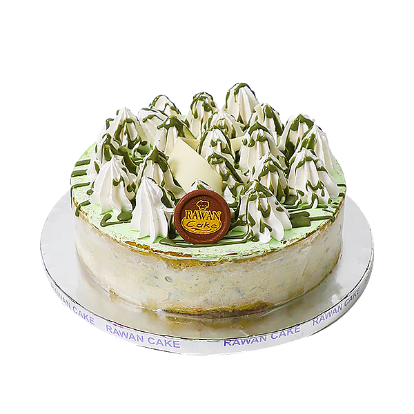 Pistachio Ice Cream Cake 