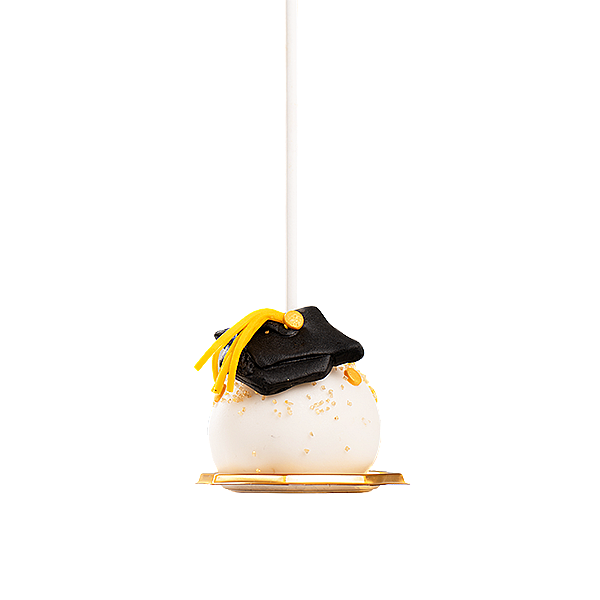  Graduation Cake Pops 1