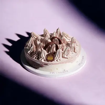 Chocolate With Vanilla Ice Cream Cake